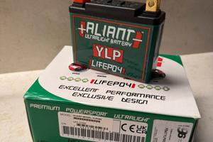 ALIANT YLP09X