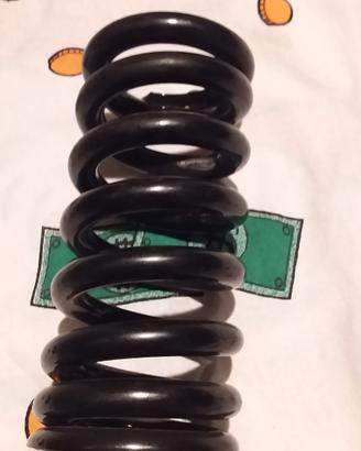 Molla sospensione Aprilia Caponord 1200 Rally Trav