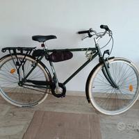 Bicicletta da passeggio 