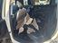 Immagine 13