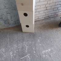 Nidi x calopsite e kakariki