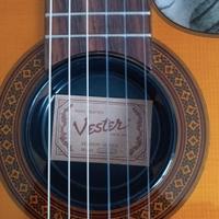 chitarra vester sac20