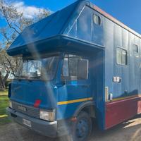 Camion trasporto cavalli