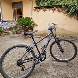  bici 24 pollici 
