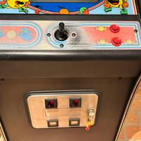 Cabinatoarcade pukman