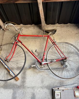 Bici Colnago