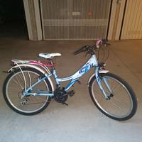Bicicletta ruote 24