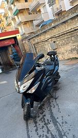 t max  anno 2011  