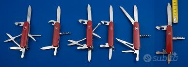 lotto victorinox