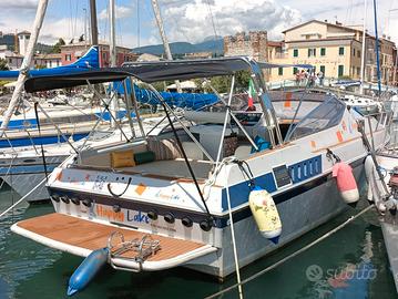 Molinari 33 immatricolato