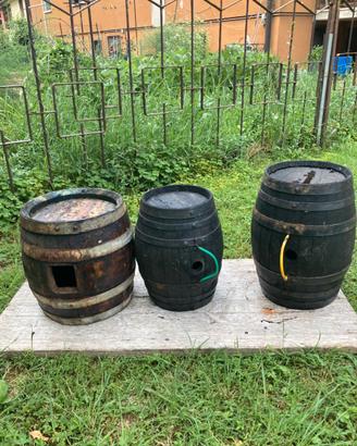Botti in legno