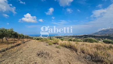 Lotto di terreno agricolo Ter/50