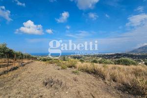 Lotto di terreno agricolo Ter/50