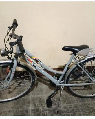 Bicicletta unisex