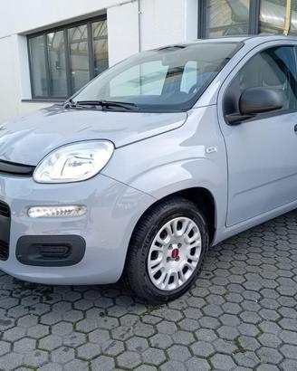 FIAT Panda 1.2 BENZINA 69CV EASY PREZZO REALE!