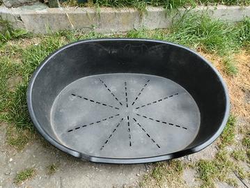 Cuccia cane