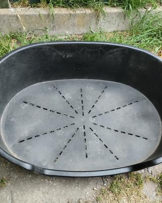 Cuccia cane