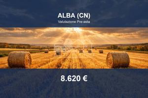 Immobile in asta di 2872 m² a Alba