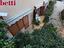 Immagine 10