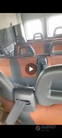 panche fiat ducato