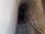 Immagine 11
