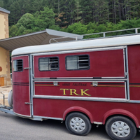 Trailer trasporto cavalli