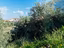 Immagine 9