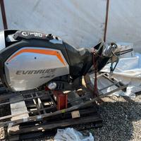 Coppia Evinrude E-TEC G2 HO 150 HP – Pari al Nuovo