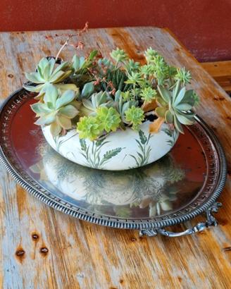 vassoio Sheffield 