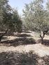 terreno-a-lucito-cb-