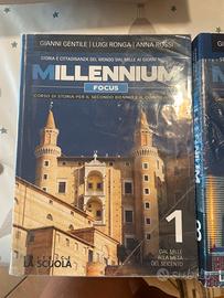 Millennium focus 1 e 3