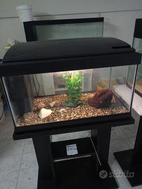 acquario 