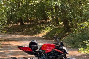 MV Agusta Brutale 800 - 2023