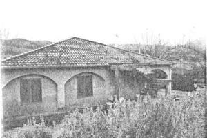 RGE 29/2011 Trib ENNA