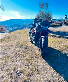 Honda Hornet 750 a2