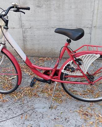 Bicicletta da donna con cestino 