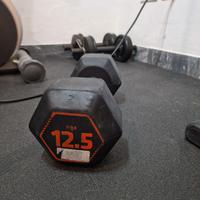 Manubrio Esagonale (Hex Dumbbell) da 12.5 kg