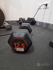Manubrio Esagonale (Hex Dumbbell) da 12.5 kg