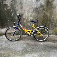 Bici Peripoli Easy Time - Cambio Shimano