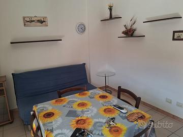Assemini via Pascoli bilocale arredato