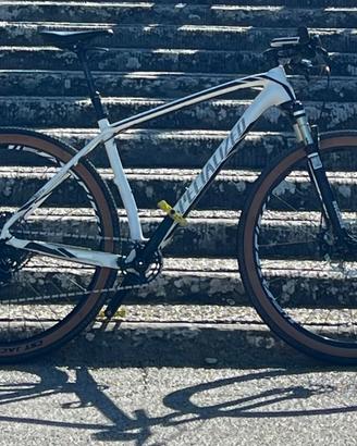 Specialized Stumpjumper HT Comp 29