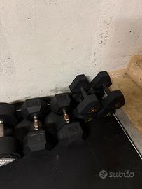 Manubri esagonali 32kg kingsbox
