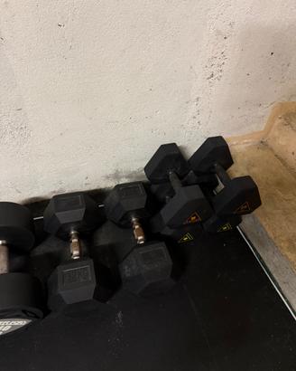 Manubri esagonali 32kg kingsbox