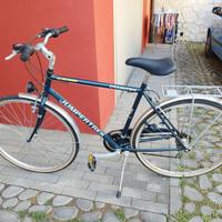 Bicicletta da uomo CINZIA