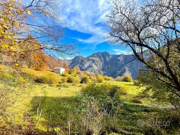 TERRENO A LAVENONE