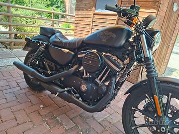 Harley davidson Iron 883