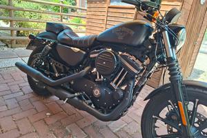 Harley davidson Iron 883