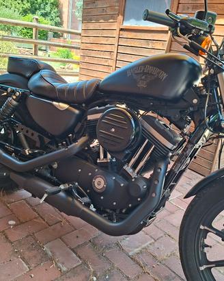 Harley davidson Iron 883