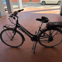 Bottecchia ledy elettrica 250 watt