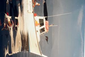 Sciallino23